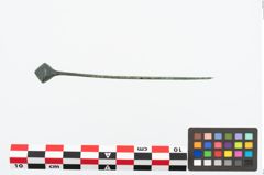 Foto von Bronzekugelkopfnadel (NHMW-PRAE-026575)
